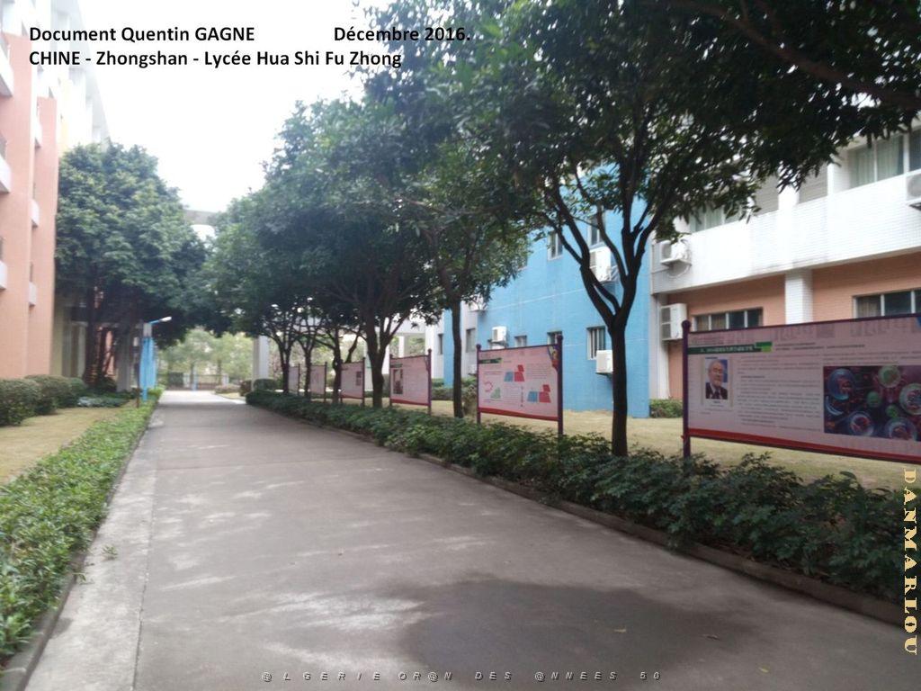 Zhongshan 042- Ensemble.jpg